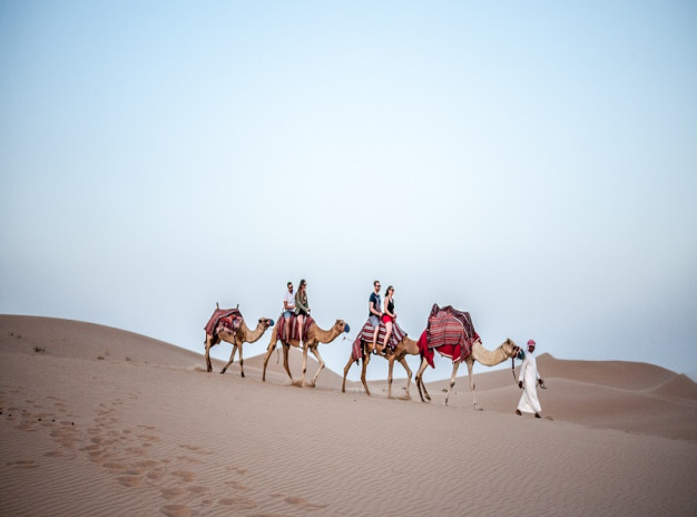 CAMEL TREKKING