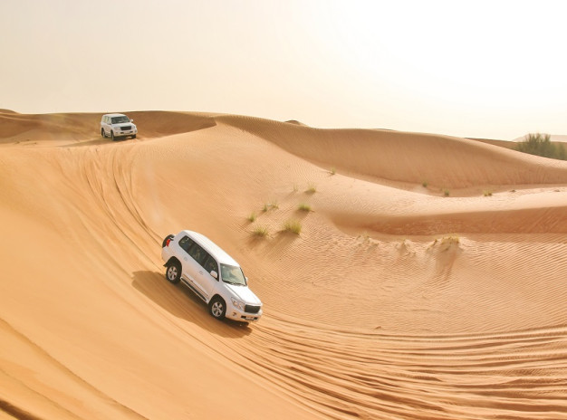 Half Day Desert Safari