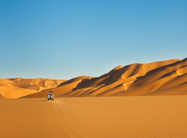 LIWA FULL DAY SAFARI