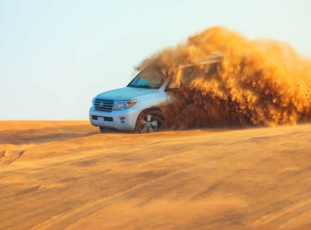 Morning Desert Safari